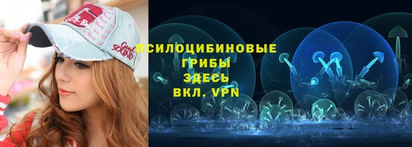 прущий лед Алексин