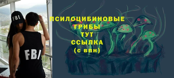 прущий лед Алексин